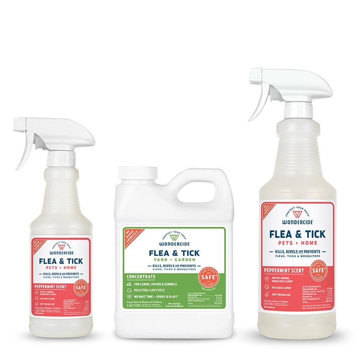 Biodefense® Early Intervention Kit | Flea & Tick Spray with Natural Essential Oils