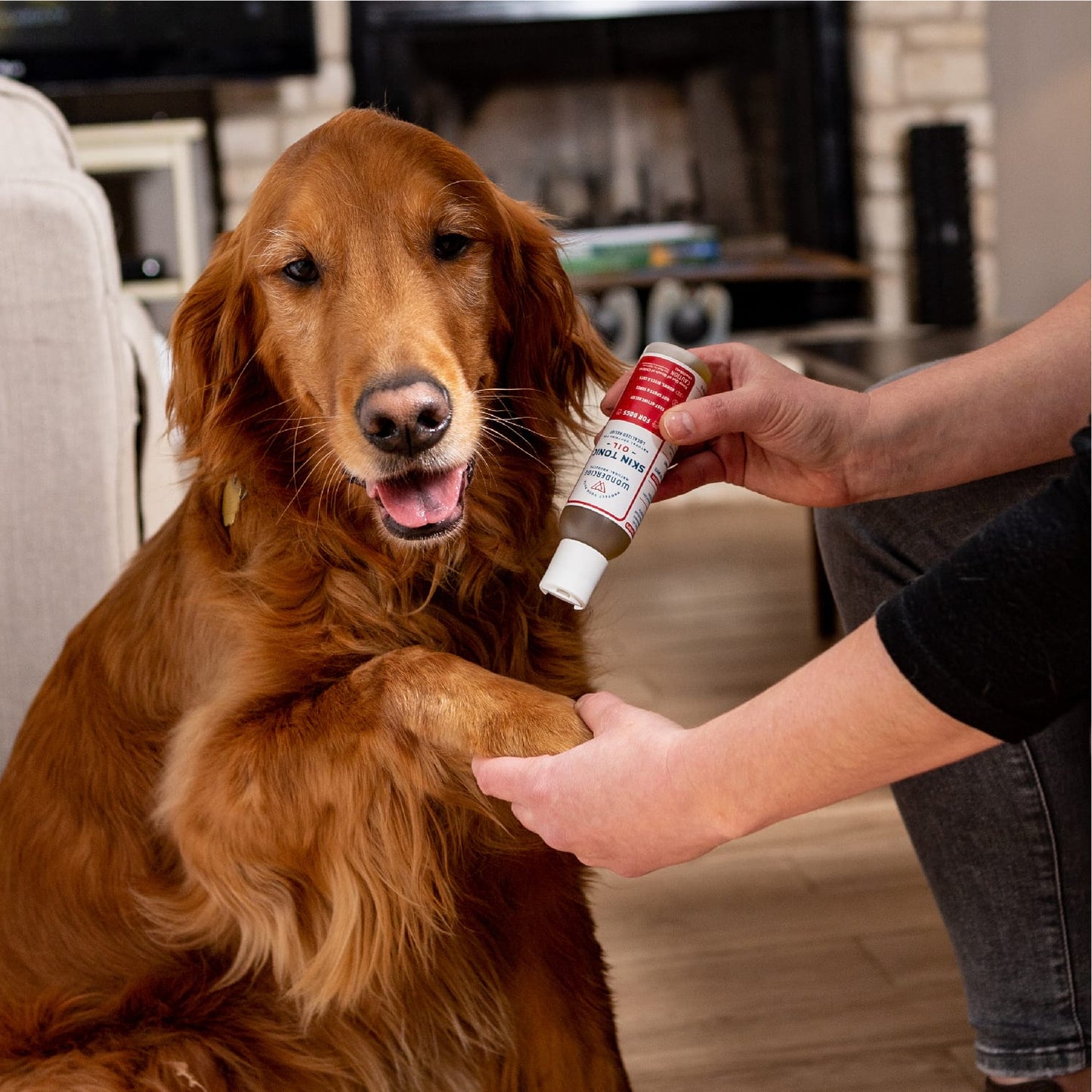 Skin Tonic Topical Oil for Dogs - In Use