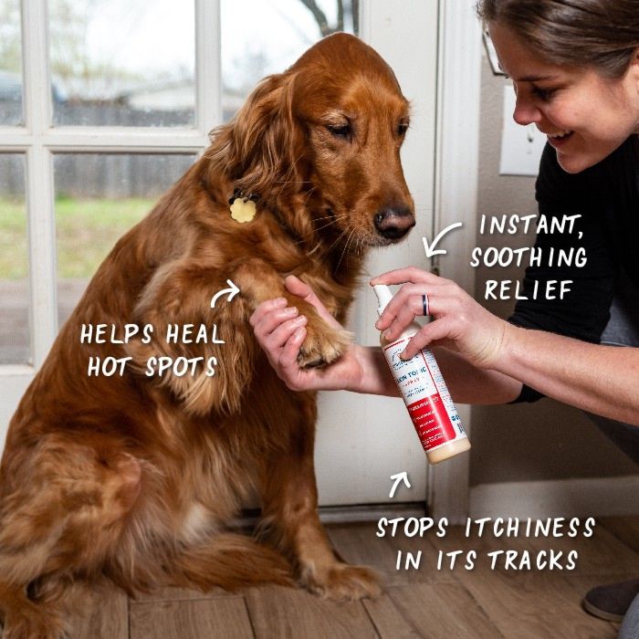 Skin Tonic Itch Spray for Dogs + Cats - In Use