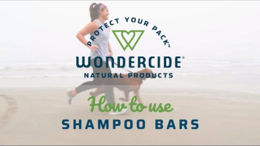 https://youtu.be/wpyZk_bafk0