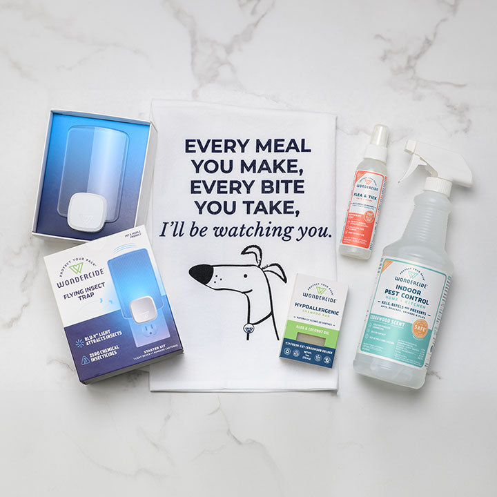 Holiday Prep Kit for Pets & People