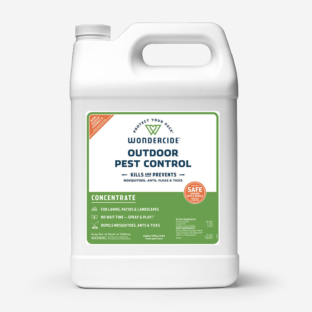 Outdoor Pest Control Concentrate