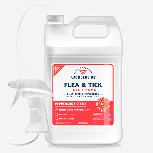 128 oz. Peppermint Flea & Tick Spray for Pets + Home with Natural Essential Oils