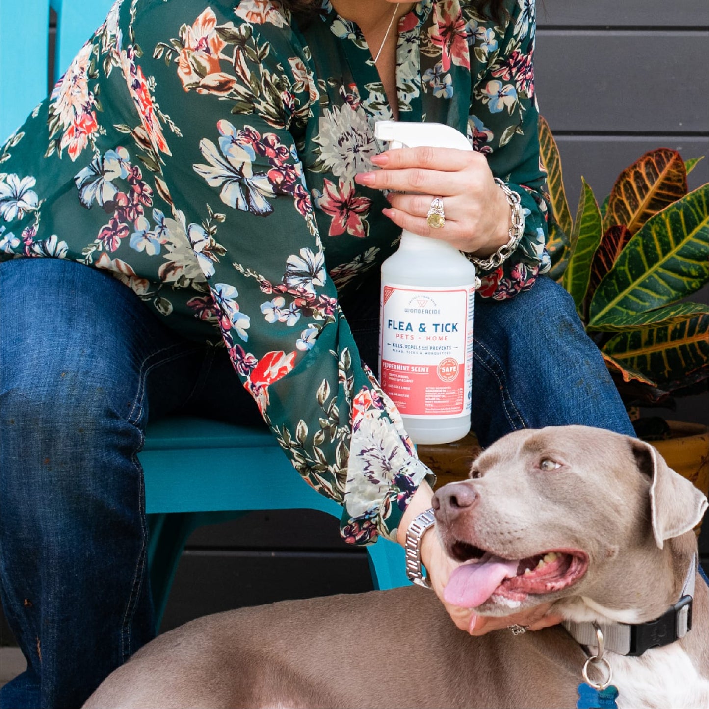 Peppermint Flea & Tick Spray for Pets + Home - Gallery