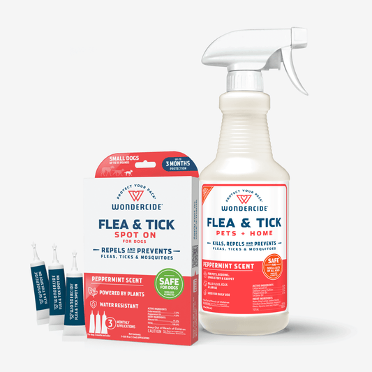 Flea & Tick Spot On + Spray Bundle