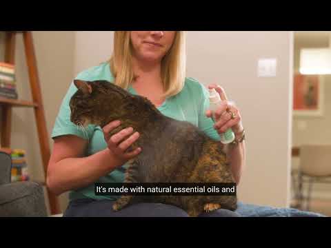 Flea & Tick Spray Video