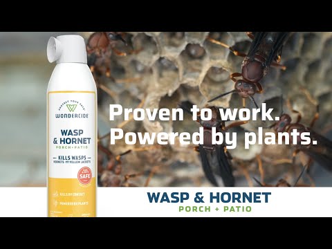 Wondercide Wasp & Hornet Spray