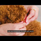 Collar Video 1
