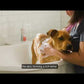Flea & Tick Shampoo