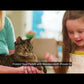 Flea & Tick Spot On Video