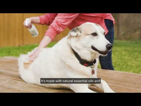 Flea & Tick Spray Video