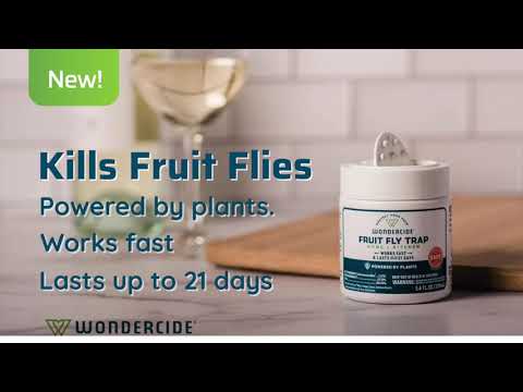 Fruit Fly Trap Video 1