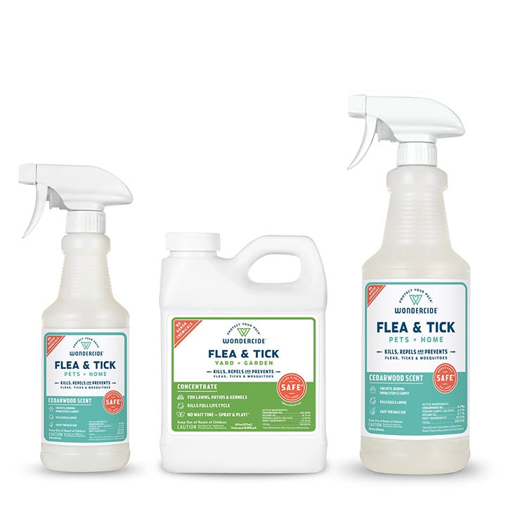 Early Intervention Kit Cedarwood Flea & Tick Spray