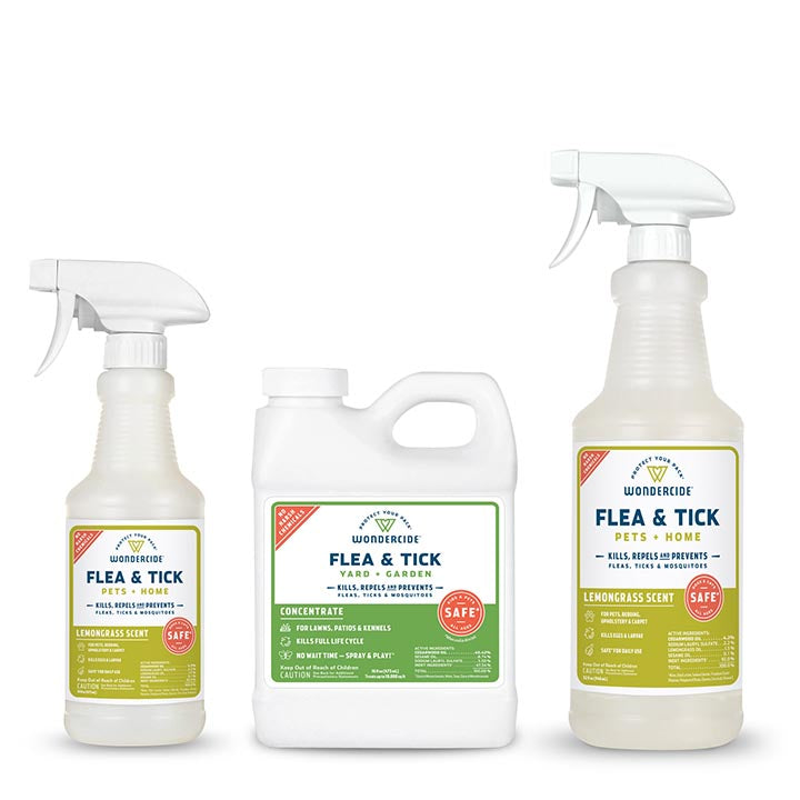 Early Intervention Kit Lemongrass Flea & Tick Spray