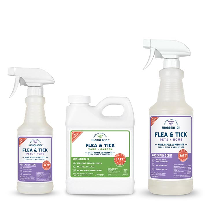 Early Intervention Kit Rosemary Flea & Tick Spray