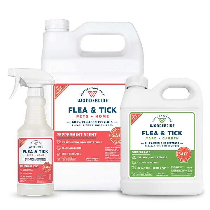 Home Treatment Kit | Flea & Tick Spray with Natural Essential Oils