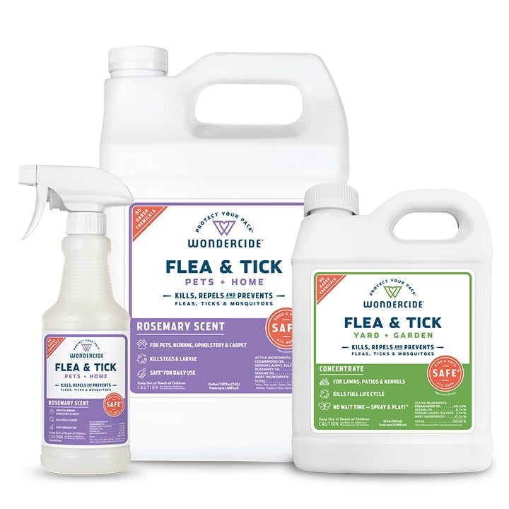 Rosemary Home Treatment Kit Flea & Tick Spray