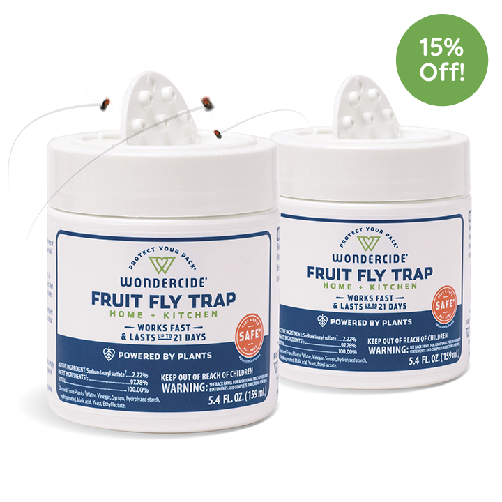 (2 Pack) Fruit Fly Trap for Home + Kitchen with Natural Essential Oils
