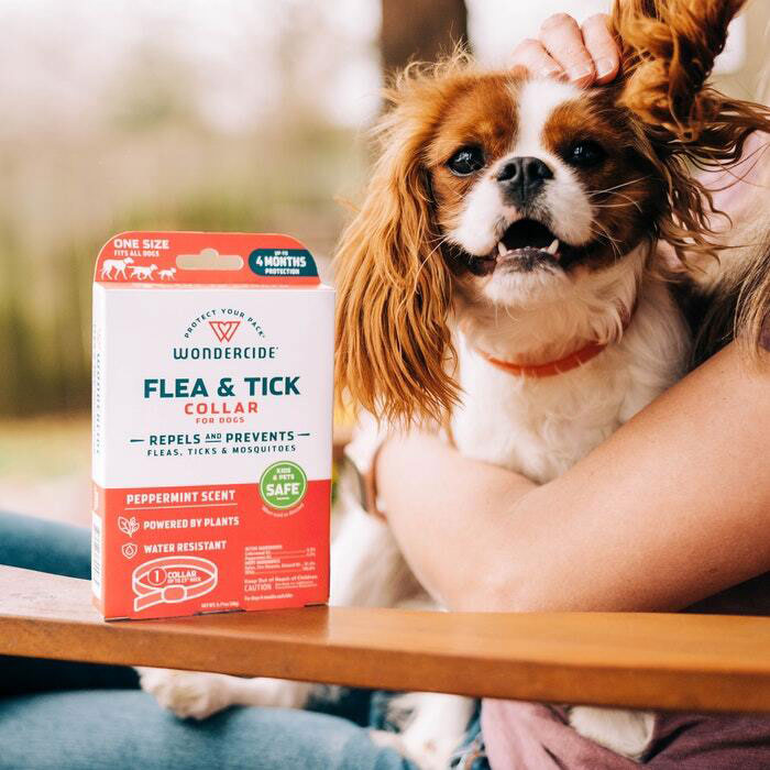 Flea & Tick Dog Collar Gallery 1