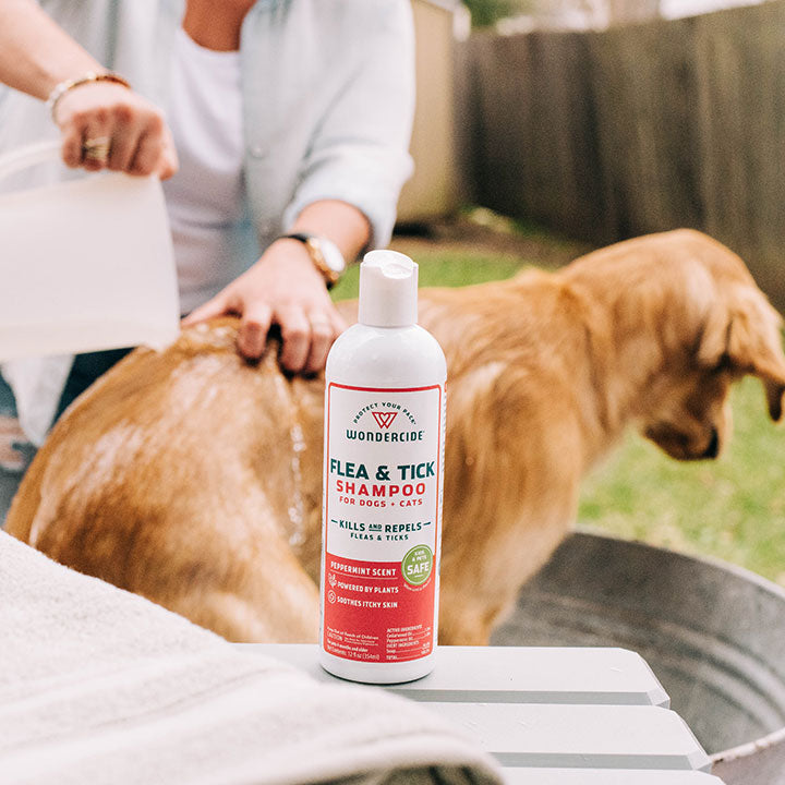Flea & Tick Shampoo - Gallery 1