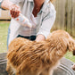 Flea & Tick Shampoo - Gallery 2