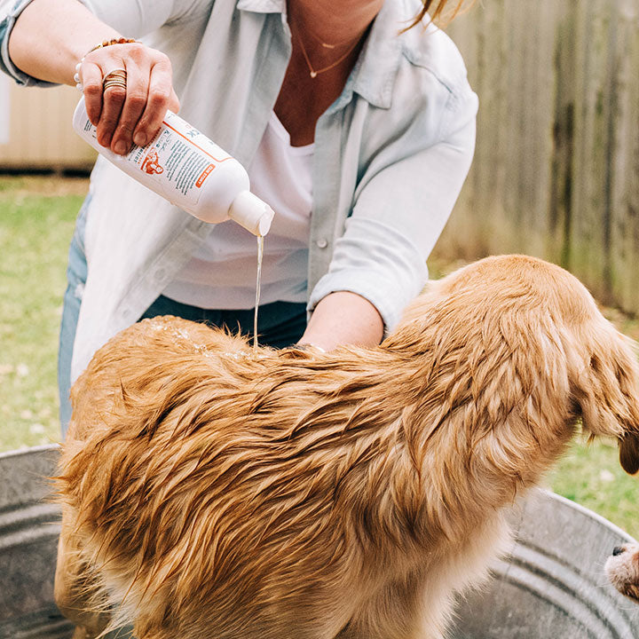 Flea & Tick Shampoo - Gallery 2
