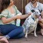 Cedarwood Flea & Tick for Pets + Home - In Use