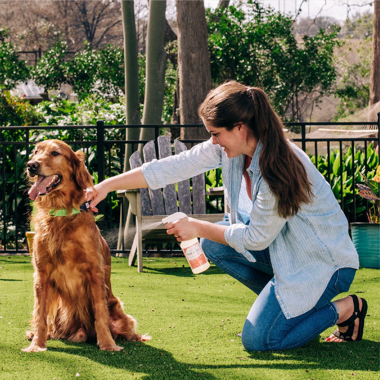 Peppermint Flea & Tick for Pets + Home - In Use