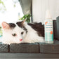 Cedarwood Flea & Tick Spray for Pets + Home - Gallery