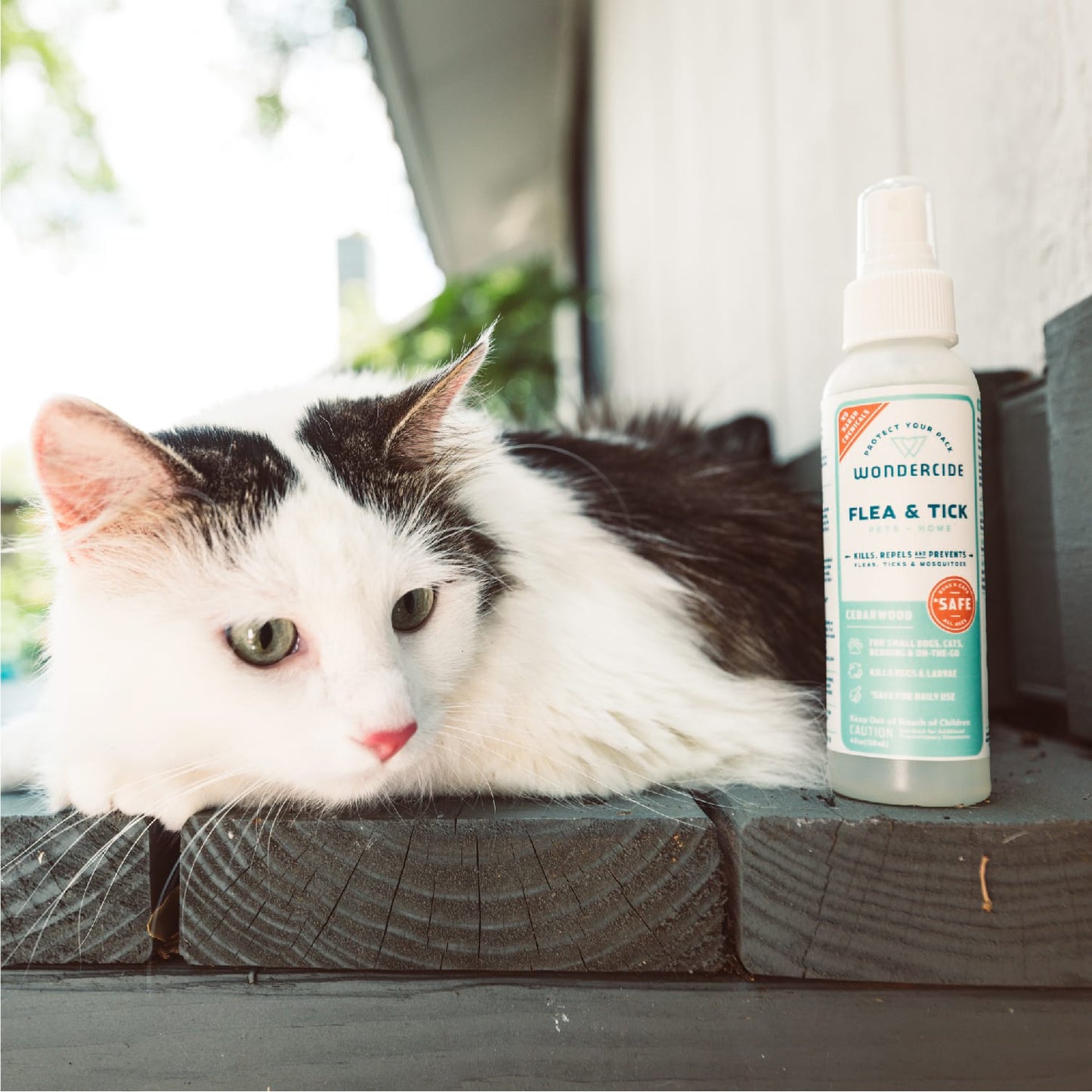 Cedarwood Flea & Tick Spray for Pets + Home - Gallery