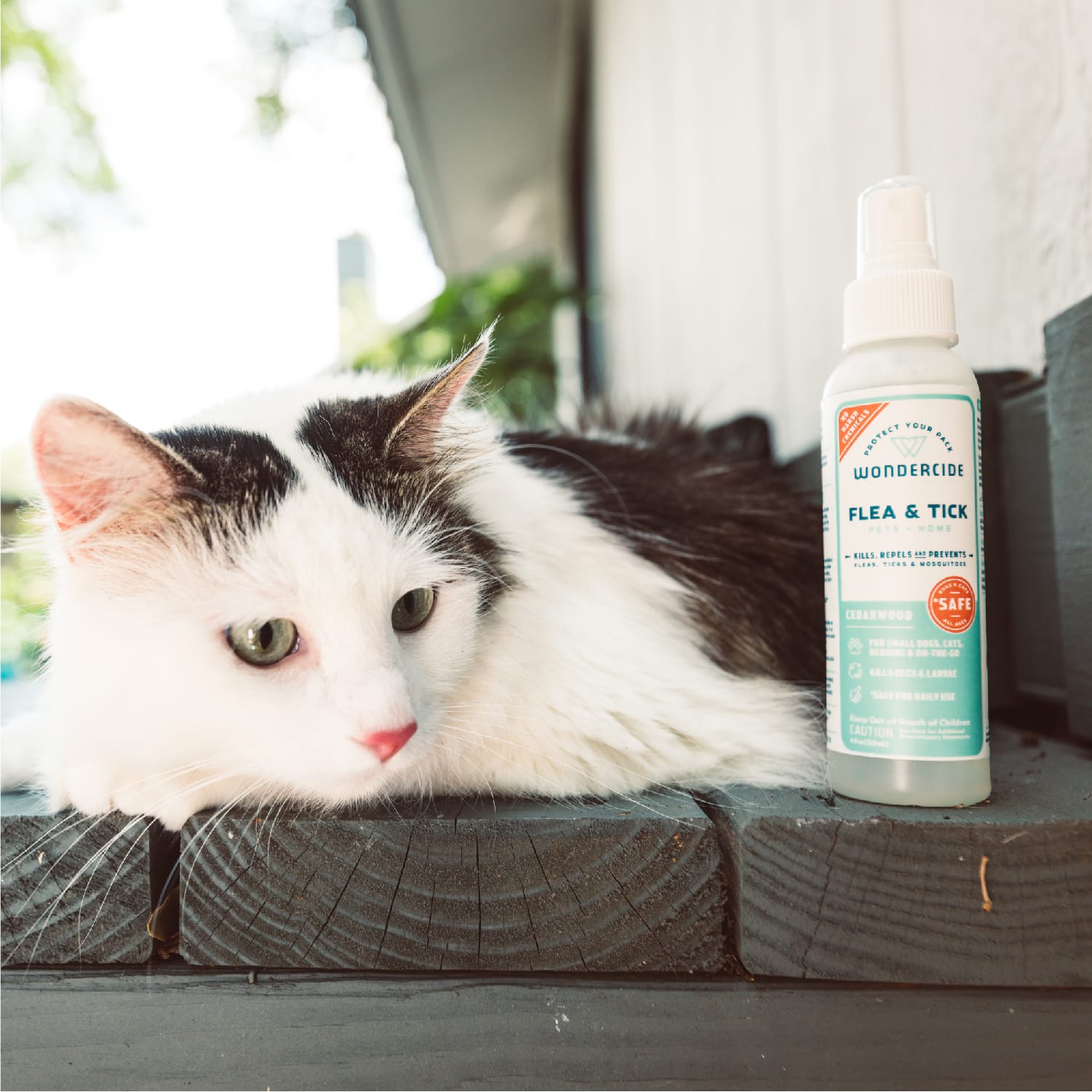 Cedarwood Flea & Tick Spray for Pets + Home - Gallery