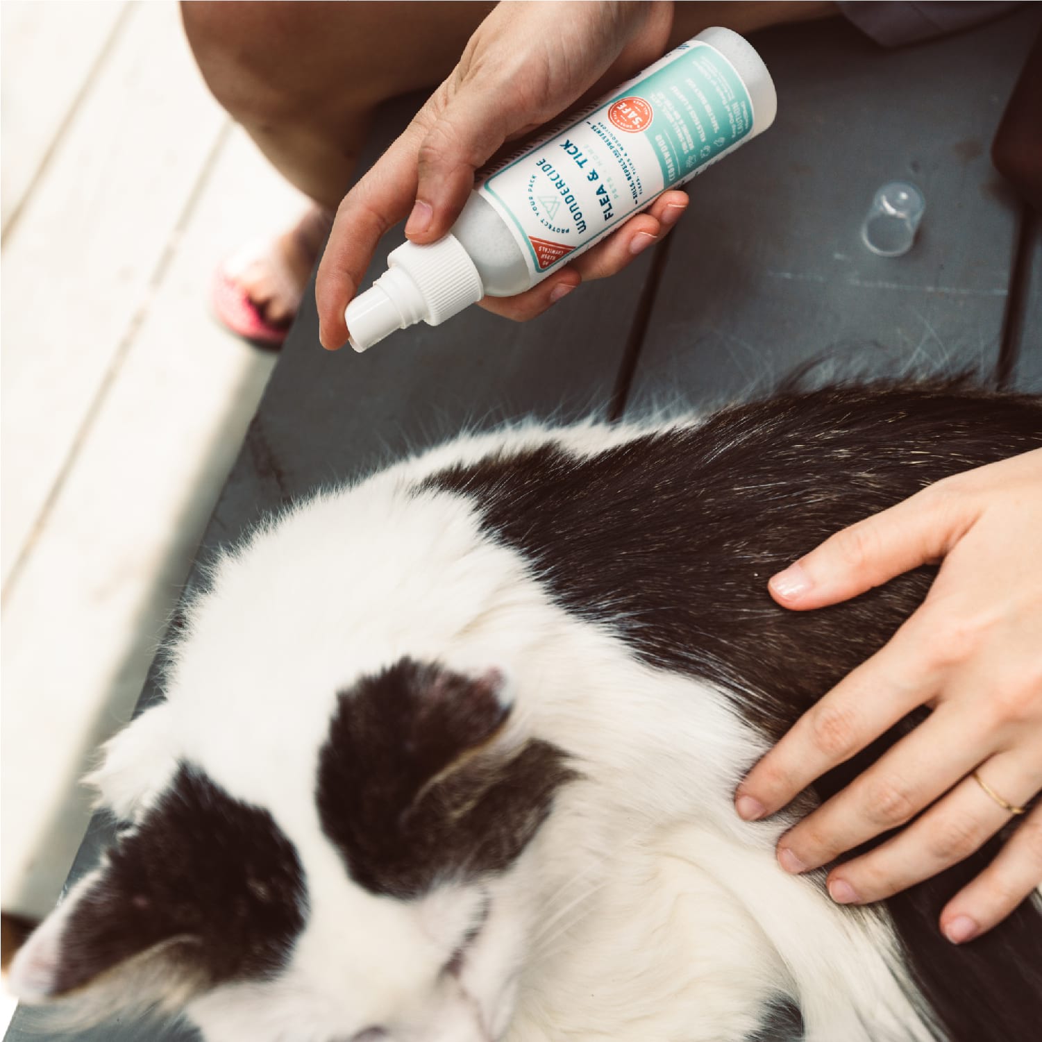 Cedarwood Flea & Tick Spray for Pets + Home - In Use
