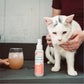 Peppermint Flea & Tick Spray for Pets + Home - Gallery