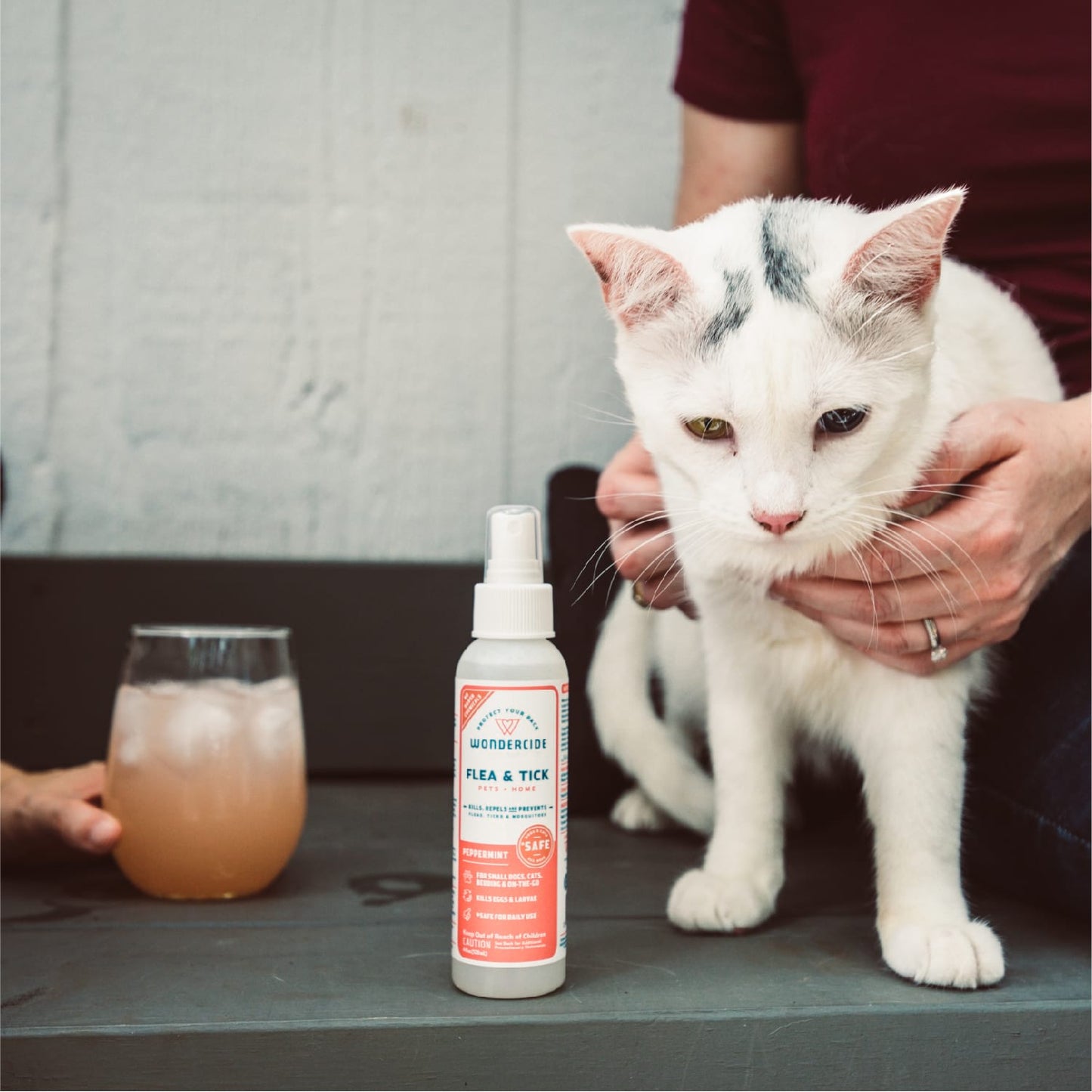 Peppermint Flea & Tick Spray for Pets + Home - Gallery