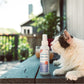 Rosemary Flea & Tick Spray for Pets + Home - Gallery