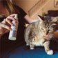 Rosemary Flea & Tick Spray for Pets + Home - In Use