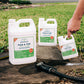 Flea & Tick Concentrate for Yard + Garden with Natural Essential Oils