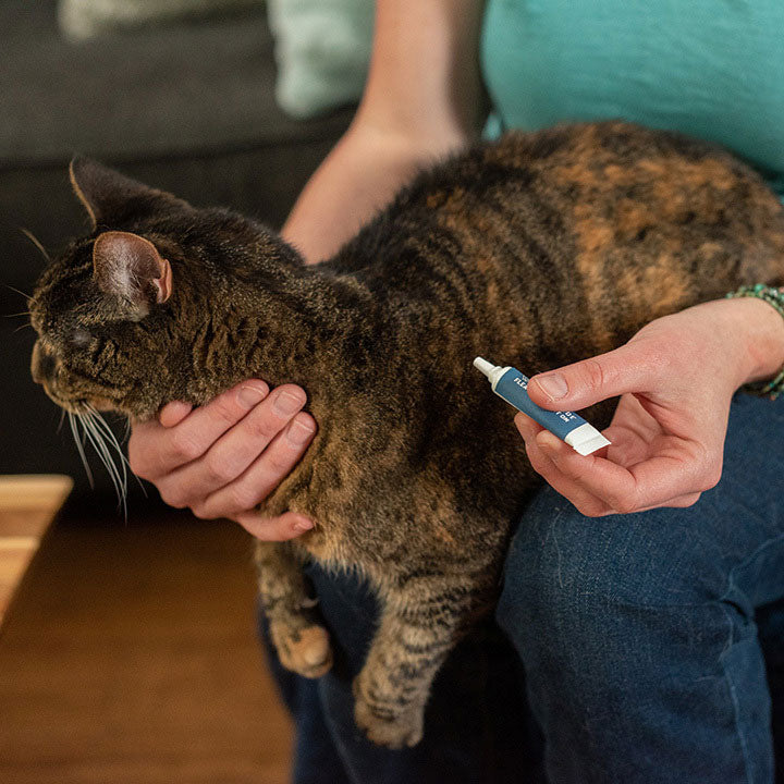 Flea & Tick Spot On For Cats - Gallery 1