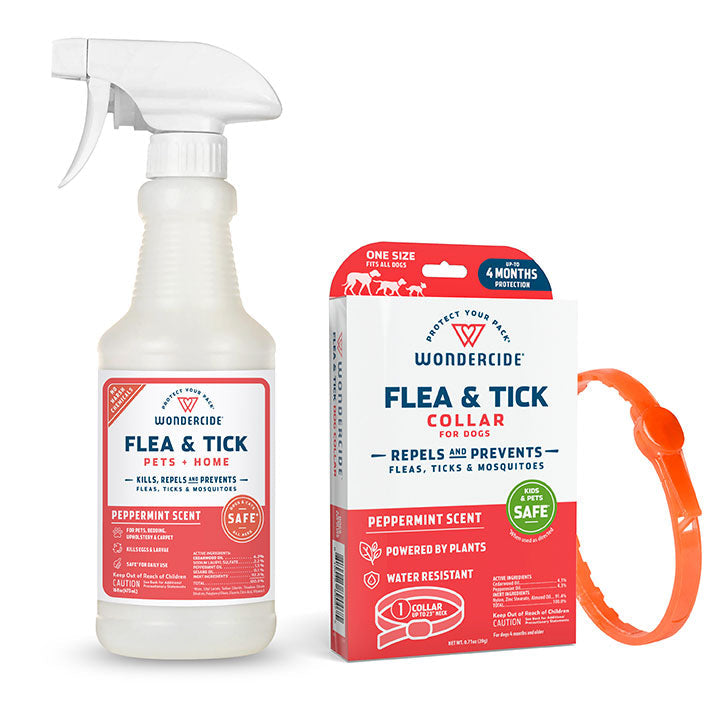 Flea & Tick Protection Bundle: Collar & Spray