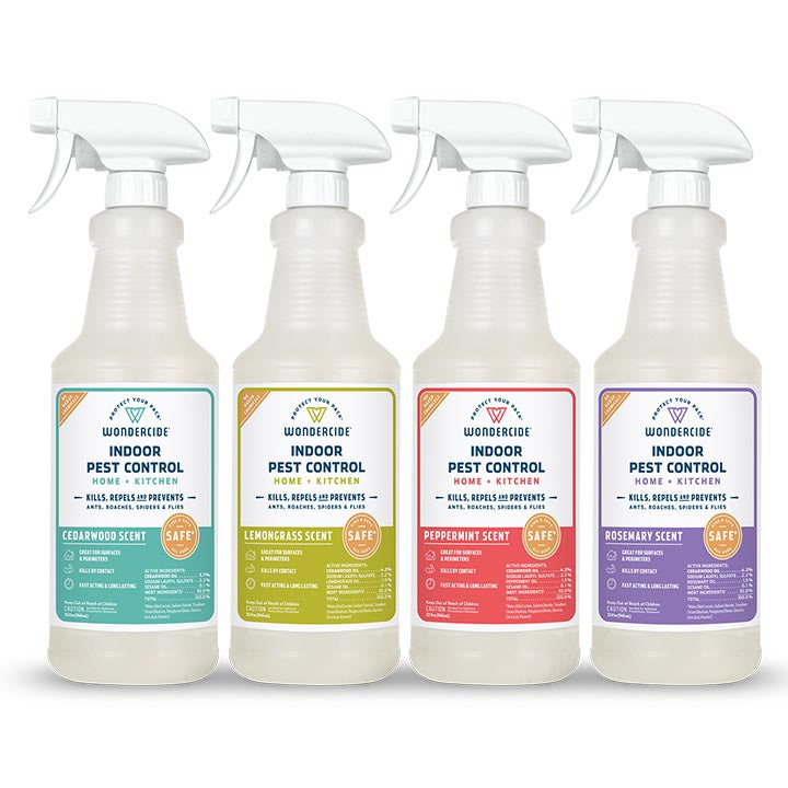 Indoor Pest Control for Home + Kitchen