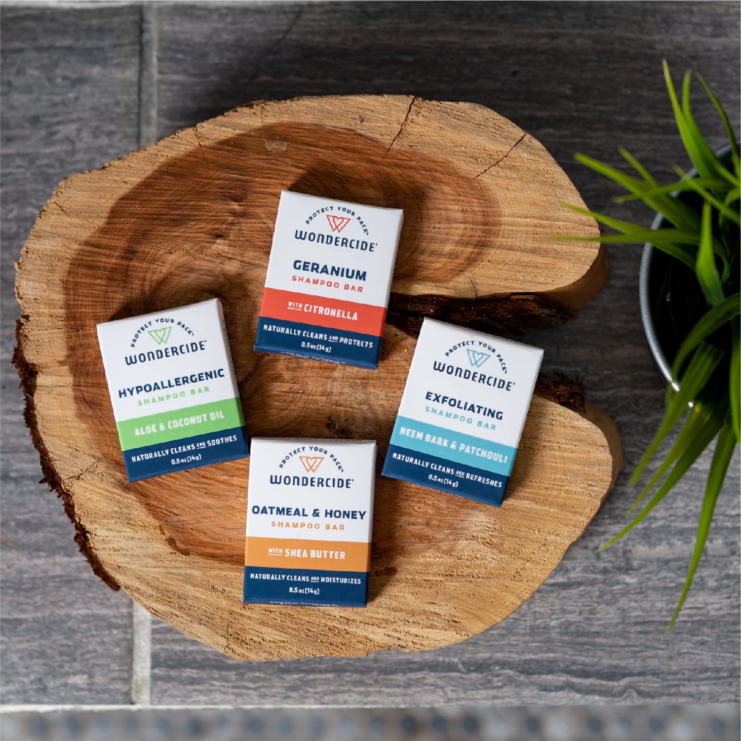 Pet Shampoo Bar Sampler - Gallery