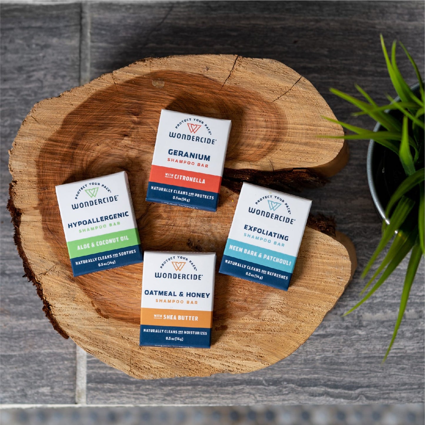 Geranium Shampoo Bar for Dogs + Cats with Natural Essential Oils