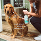 Cedarwood Flea & Tick Spray for Pets + Home - Gallery