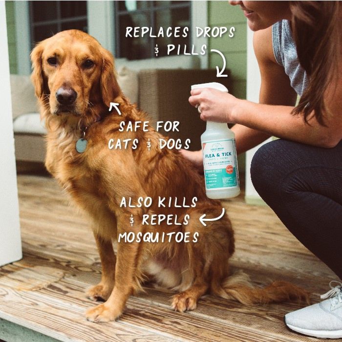 Cedarwood Flea & Tick Spray for Pets + Home - In Use