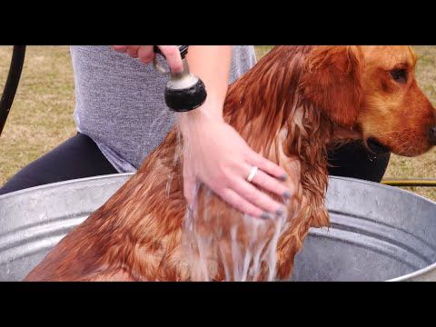 https://youtu.be/wpyZk_bafk0