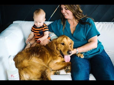 https://www.youtube.com/watch?v=waaegFuuZDY