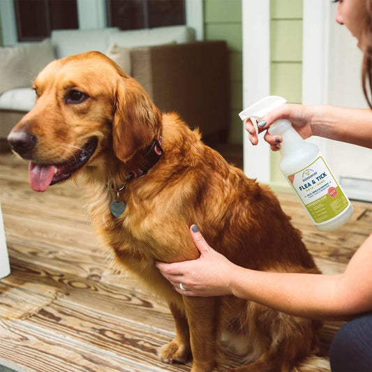 Lemongrass Flea & Tick for Pets + Home - In Use